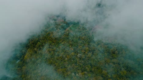 Discover-the-enchanting-Yungas-cloud-forest-from-above-in-this-drone-footage,-showcasing-a-vibrant-tapestry-of-treetops-that-seemingly-touch-the-sky,-revealing-a-world-of-lush,-misty-splendor