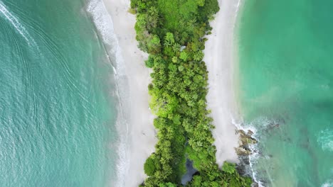 top down view of symmetrical blue ocean with sandy shore surrounding lush green strip of trees, 4k aerial drone costa rica