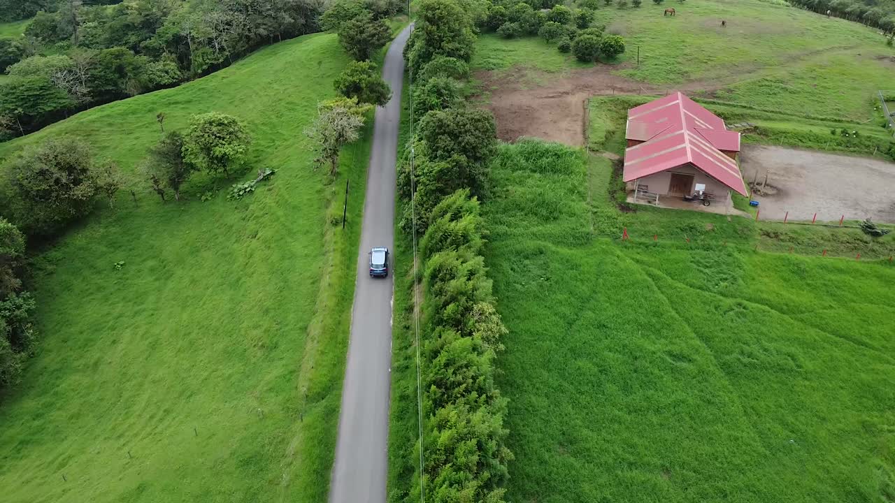 나무, 안개, 구름 숲과 함께 녹색 산을 통해 운전