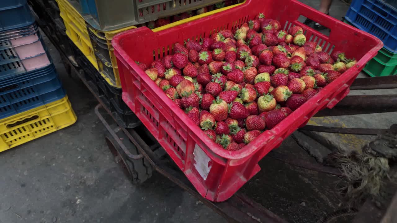Close-up of a ripe large red strawberry at a fruit market. Fruit distribution