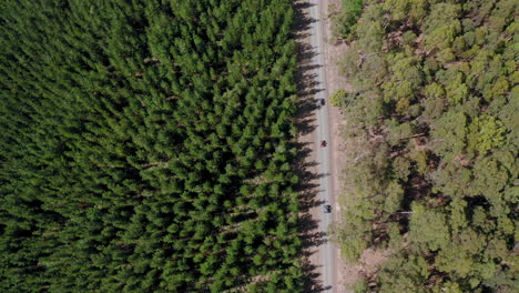 aerial view above atv bikes driving on a sandy, woods trail, sunny day, in australia - rising, overhead, drone shot