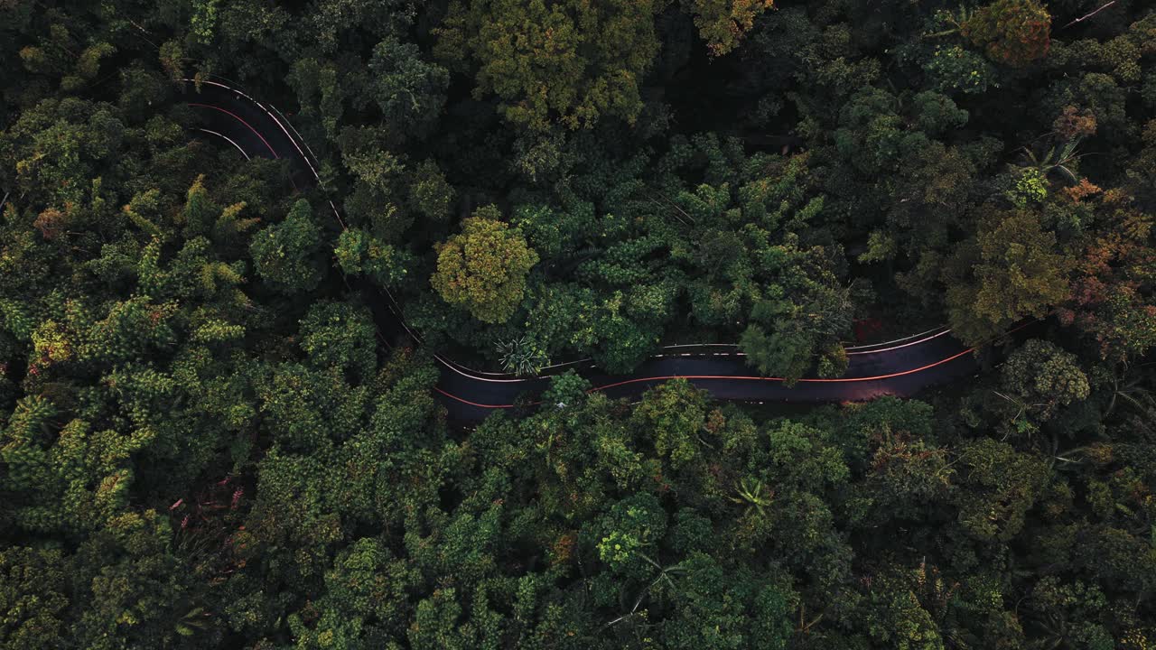 vista de arriba hacia abajo de un coche blanco conduciendo en la carretera de la jungla