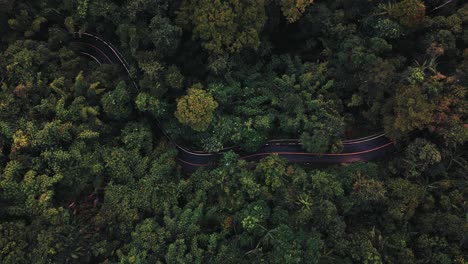 Vista-De-Arriba-Hacia-Abajo-Del-Automóvil-Blanco-Conduciendo-Por-La-Carretera-De-La-Jungla