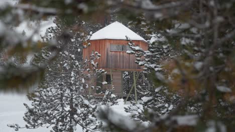 static shot of a snowy stilt cabin in andorra, framed by pine branches with snow-covered trees in the background.