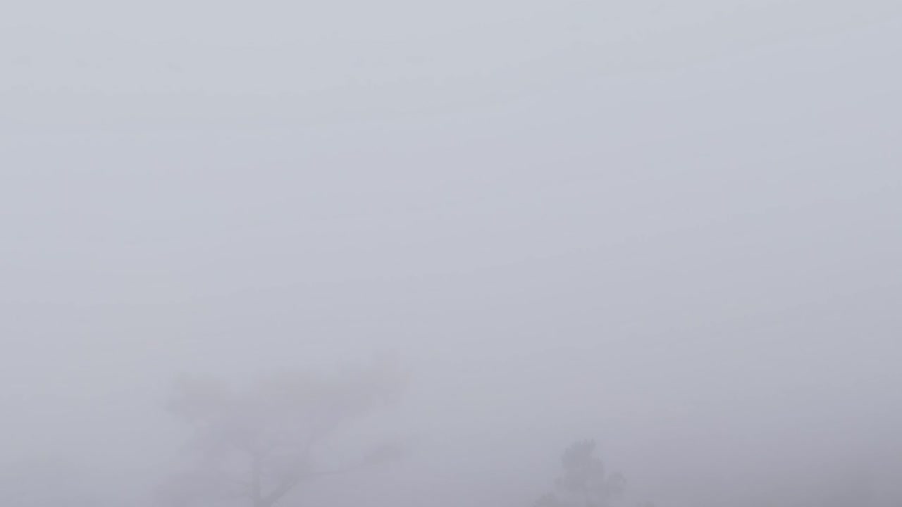 Mist enshrouded landscape in Madeira, Portugal captured from above