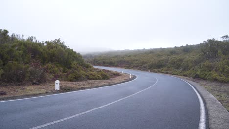 view of a road in the mountains of madeira island during winter, fog covering a section of the road