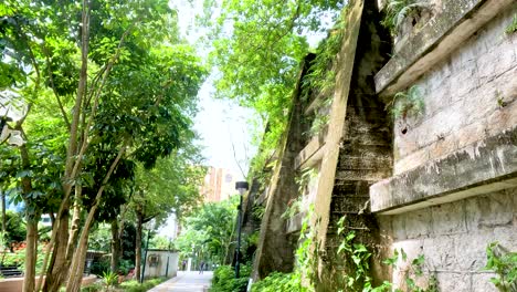 lush greenery along a peaceful park walkway