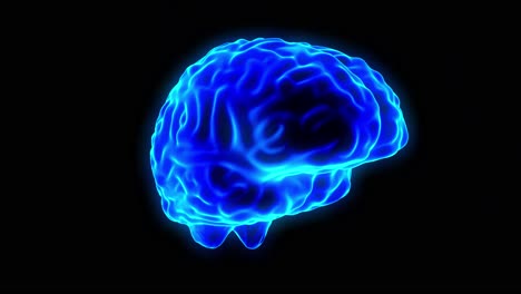 holograma cerebral de bucle giratorio 4k