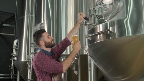 young brewer wearing a leather apron is tasting beer at a modern brewery