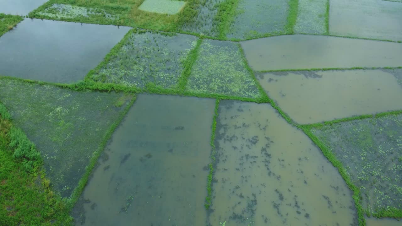 The surrounding area was flooded due to heavy rain