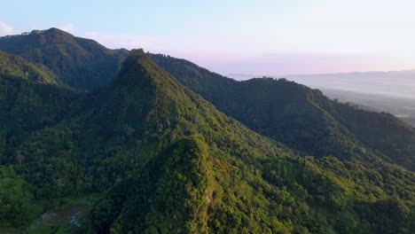 aerial view of tropical rainforest on the hills from high-flying drone