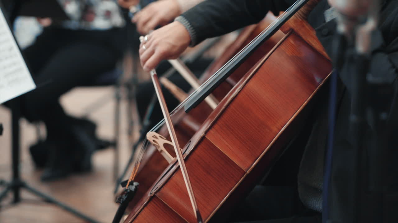 The musician plays the bow on the violin cello