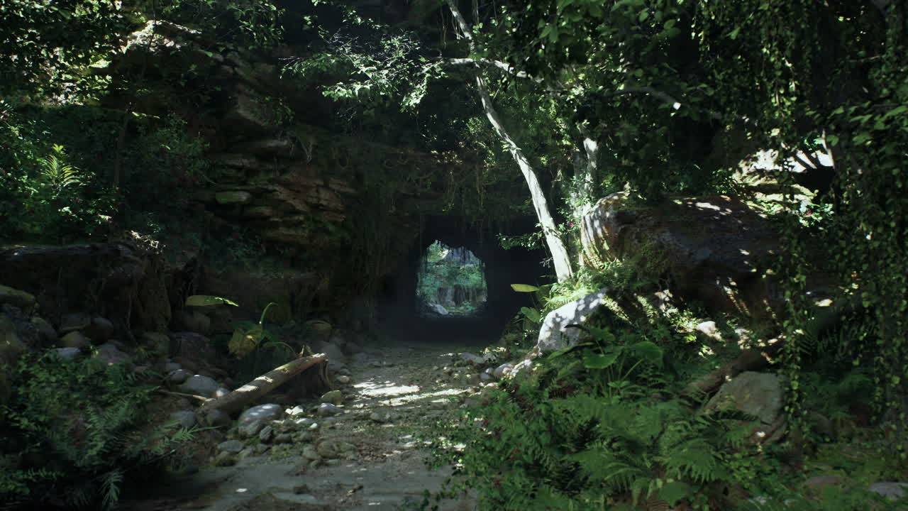 울창한 숲을 가로질러 가는 길