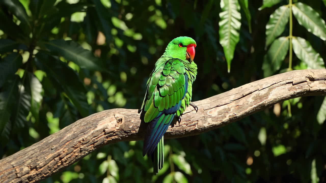 Vibrant Green Parrot Perched on a Tree Branch