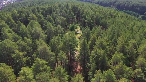 vista aérea del bosque con desierto