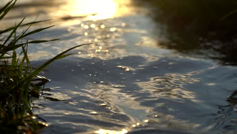 imagens aproximadas dos reflexos da luz do pôr do sol na superfície do lago