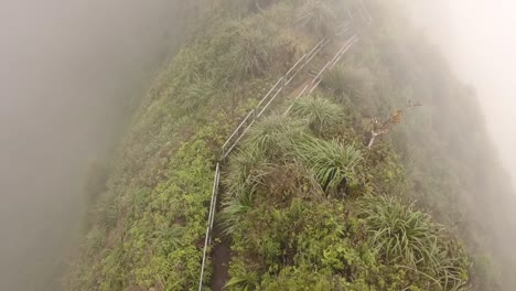 the haiku stairs traverse a steep ridge section in cloud