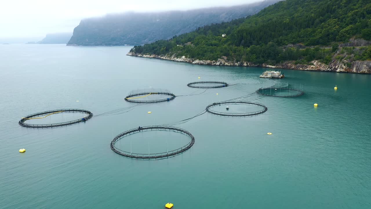 노르웨이에서 연어  ⁇ 시를 하는 공중 촬영