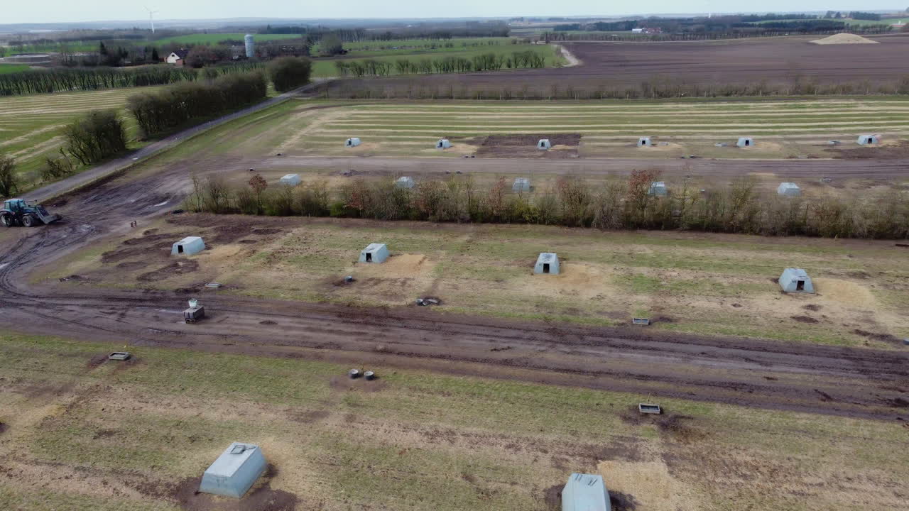 arial: cerdos daneses de pasto libre desde arriba