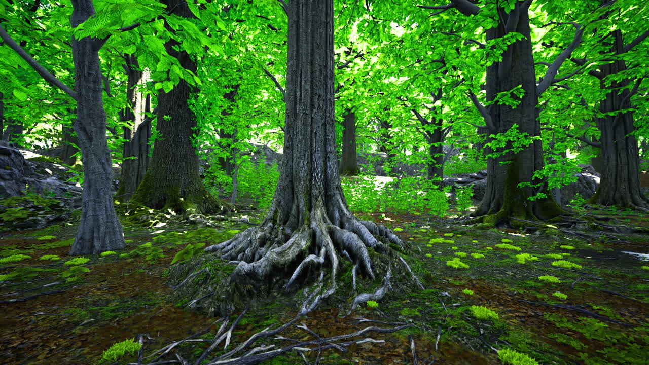Lush green forest showcasing vibrant trees and mossy ground in daylight