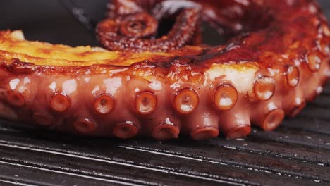Octopus cooking, chef grill fresh octopus galician style on restaurant kitchen, healthy food, seafood cafe in spain, traditional asian japanese spanish and mediterranean dish.