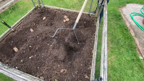 raking and preparing a garden plot for planting potatoes