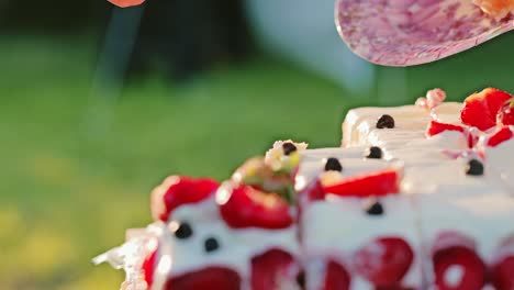 Slow motion of woman placing traditional Latvian strawberry cake on white plate