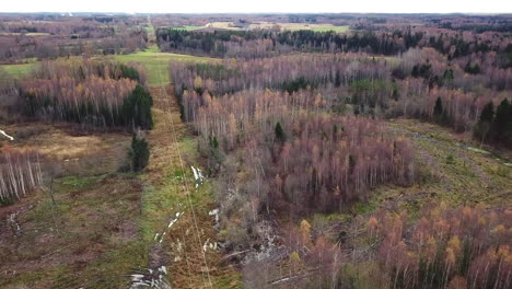 Forraje-Aéreo-Sobre-Las-Líneas-De-Poder-En-El-Bosque---Panoramización-Lenta-Hacia-La-Izquierda