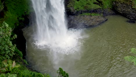 the idyllic bridal veil falls waterfall and swimming hole in nature's paradise surrounded by forest in raglan, new zealand aotearoa