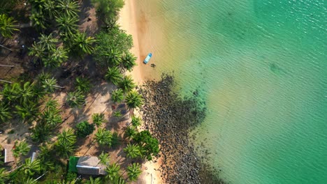 palm trees bordering a pristine white sand beach meeting turquoise water in koh rong island, cambodia. stunning aerial view flight drone top down above view