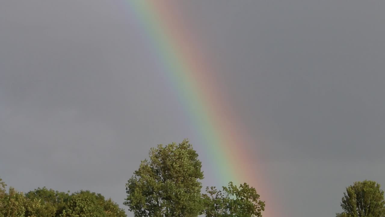 arco iris con cielo tormentoso sobre árboles países bajos