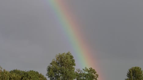 rainbow with stormy sky over trees netherlands