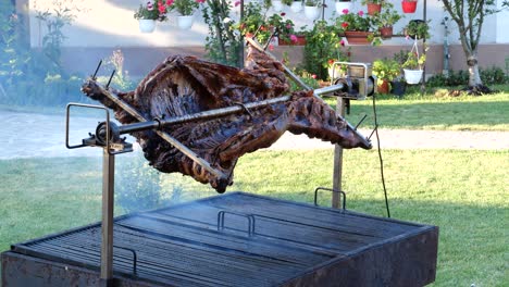 wide shot of grilled meat spinning on spit roast on a picnic at backyard