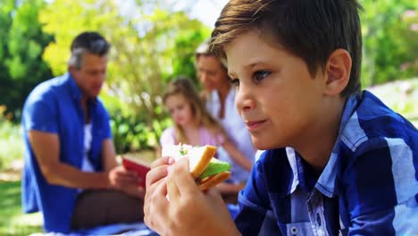 Junge-Isst-Sandwich-Beim-Picknick-Im-Park-4k