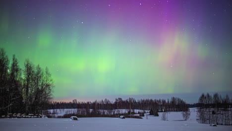 aurora borealis with many colors in the sky over a white snowy landscape with trees