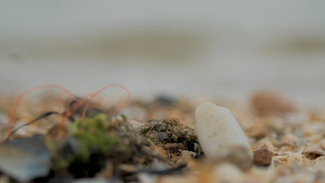 Basura-Plástica,-Botellas-Y-Otros-Desechos-Arrastrados-A-La-Playa-De-Arena,-Concepto-De-Mares-Contaminados,-Problemas-Ecológicos