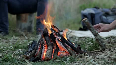 close up: people sitting around bonfire in nature and adding stick of wood in fire