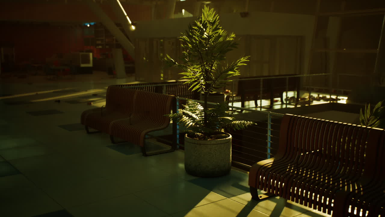 Abandoned terminal with empty seats and a palm in dim light