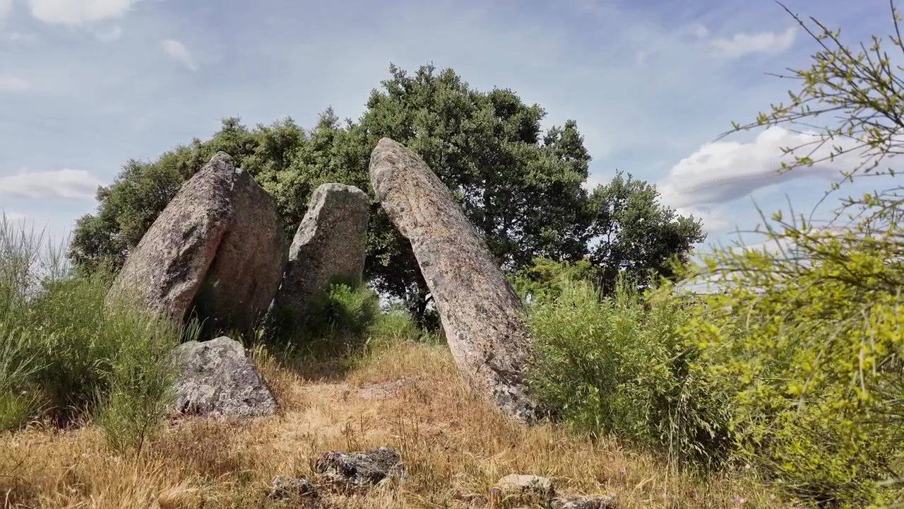 Dysse i et landområde. Forhistorisk megalitgrav