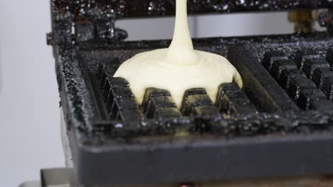 dough is poured into a waffle maker