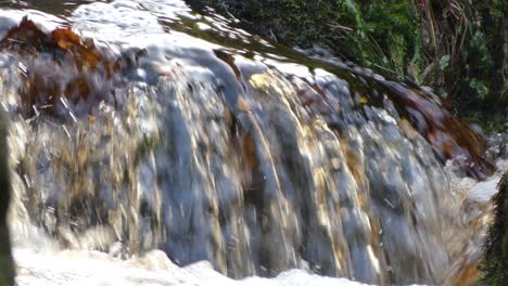 bosques tranquilos de otoño e invierno con un suave arroyo que cae en cascada sobre las rocas, formando pequeñas cascadas