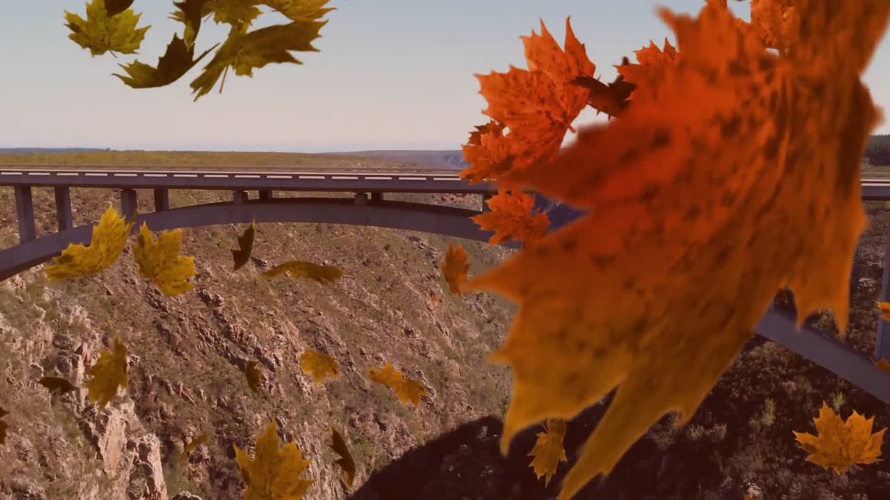 잎이 떨어지는 것