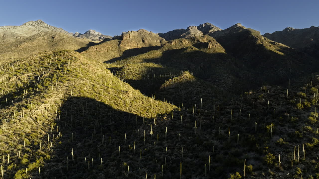 imágenes de drones volando sobre las estribaciones cubiertas de cactus en el desierto de sonora con sombras dramáticas