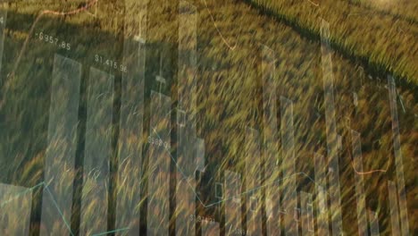 animación de las estadísticas y el procesamiento de datos financieros en el ámbito de la agricultura