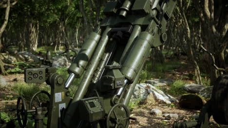 big gun cannon in the forest