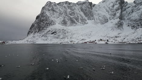 Aves-Marinas-En-El-Mar-En-El-Hermoso-Pueblo-De-Reine-Durante-El-Invierno-En-Las-Islas-Lofoten,-Noruega