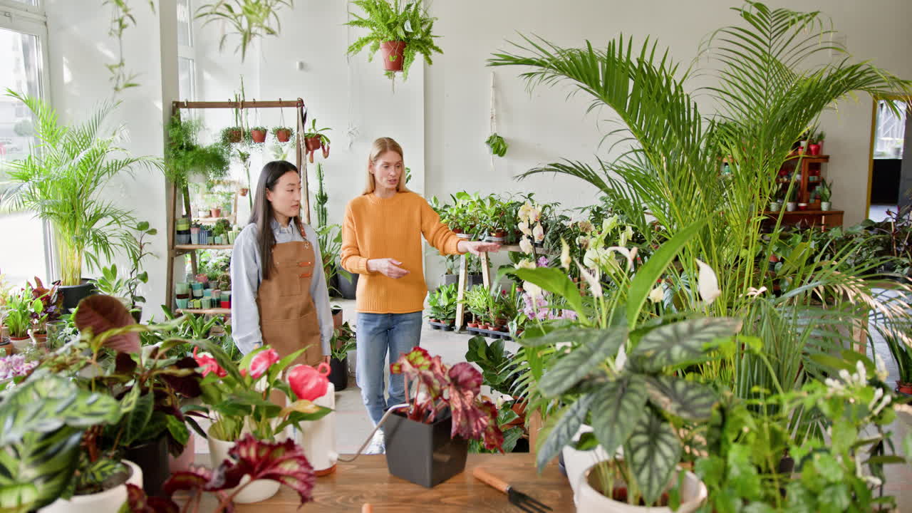 식물 에 대해 꽃 가게 를 상담 하는 여자