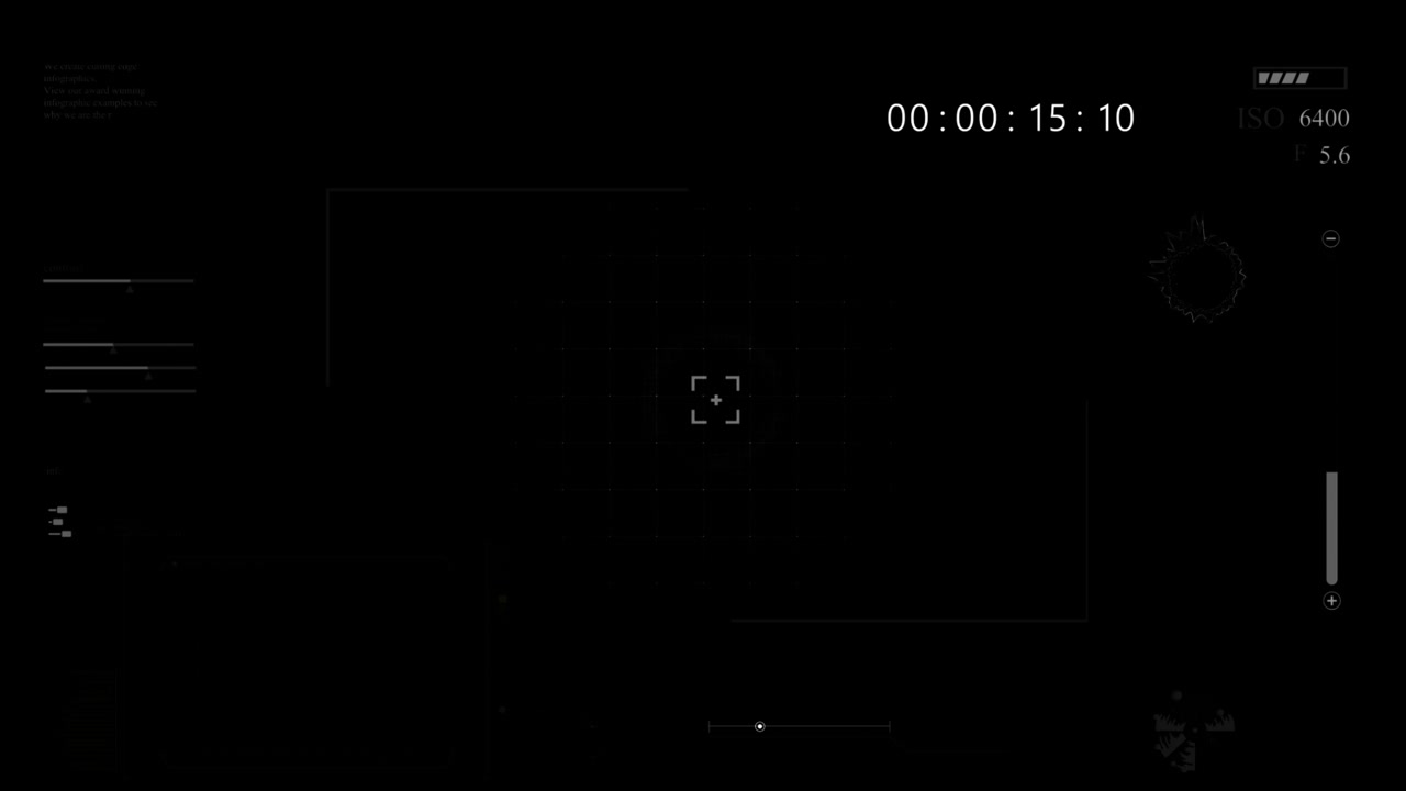 Digital Camera Viewfinder Interface Overlay