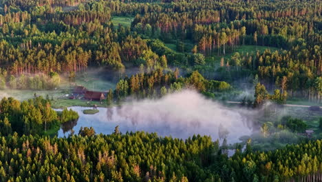 Low-lying fog over lake and treetops at dawn aerial in Latvia’s countryside, natural backdrop