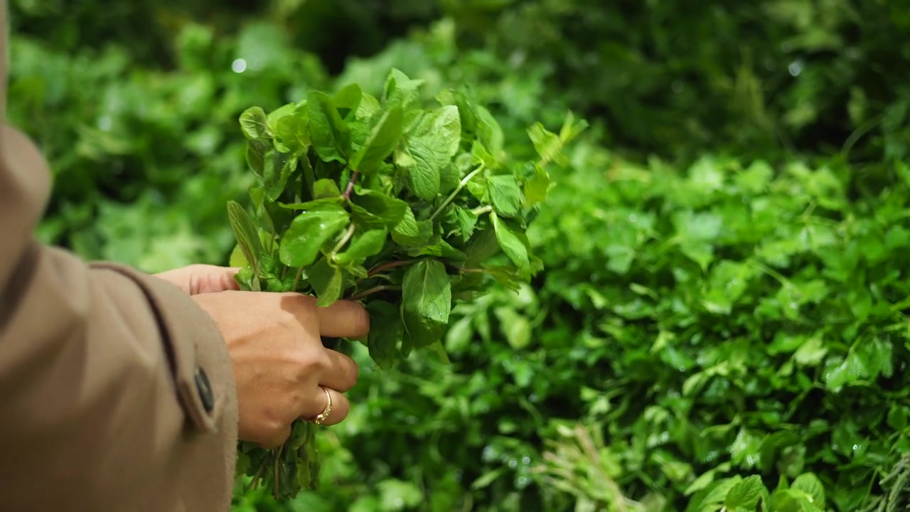 Persona che tiene un mazzetto di menta fresca al mercato